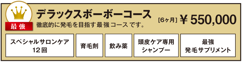 最強コース！デラックスボーボーコース